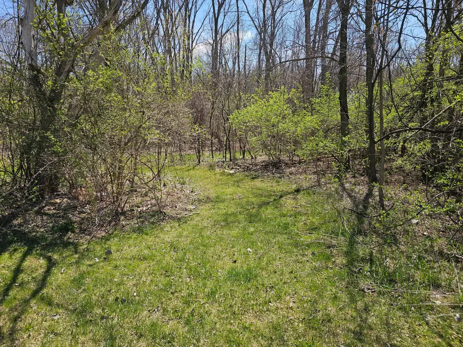 V/L Webber Street, Ionia, MI 48846 - Image #3