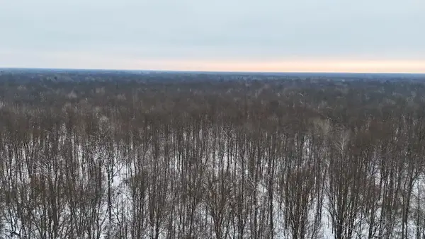 N Magruder Road, Coleman, MI 48618