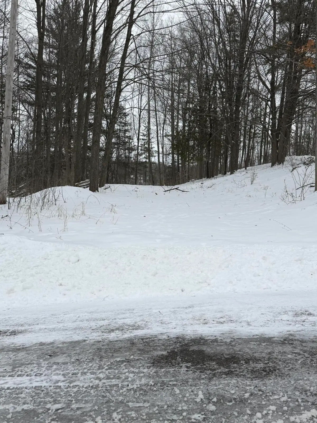 313 W Spruce Street E, Big Rapids, MI 49307 - Image #1