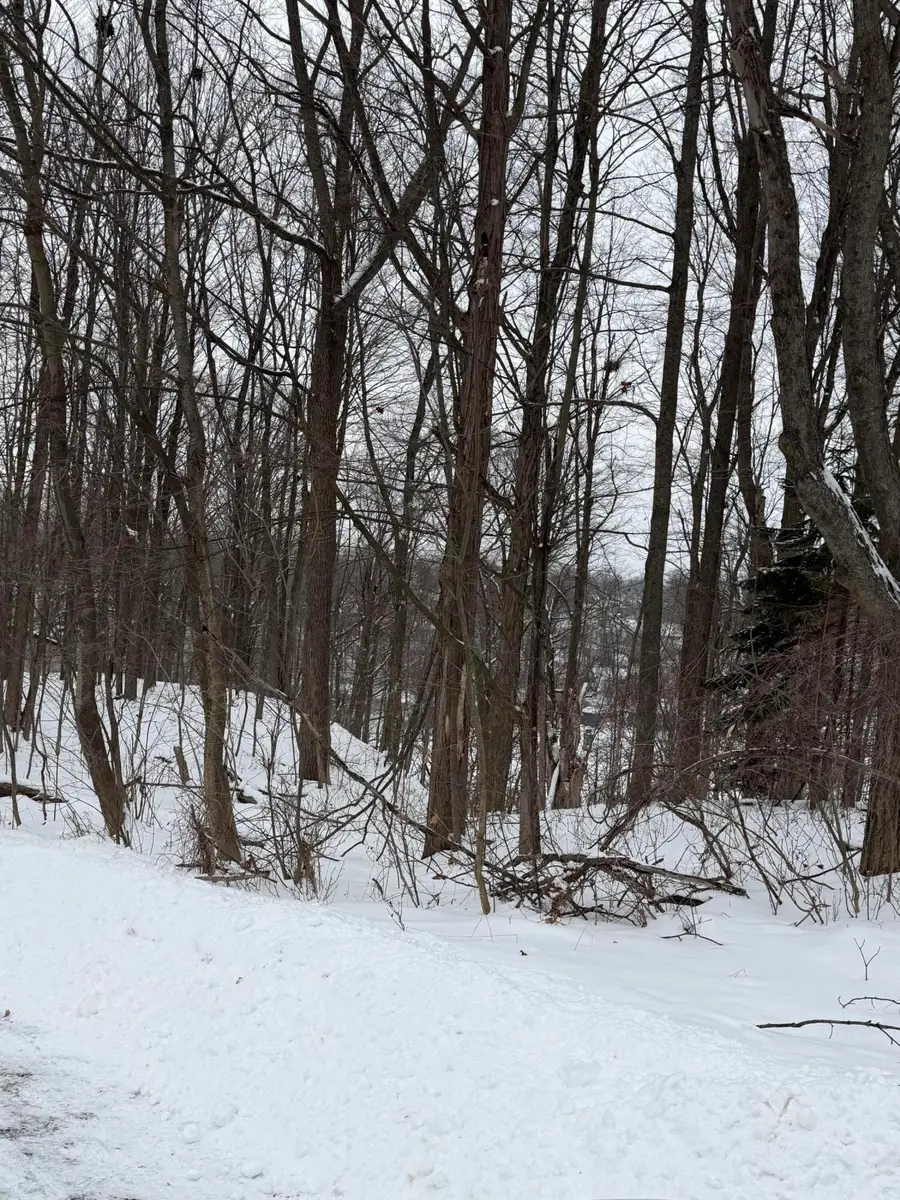 313 W Spruce Street E, Big Rapids, MI 49307 - Image #2