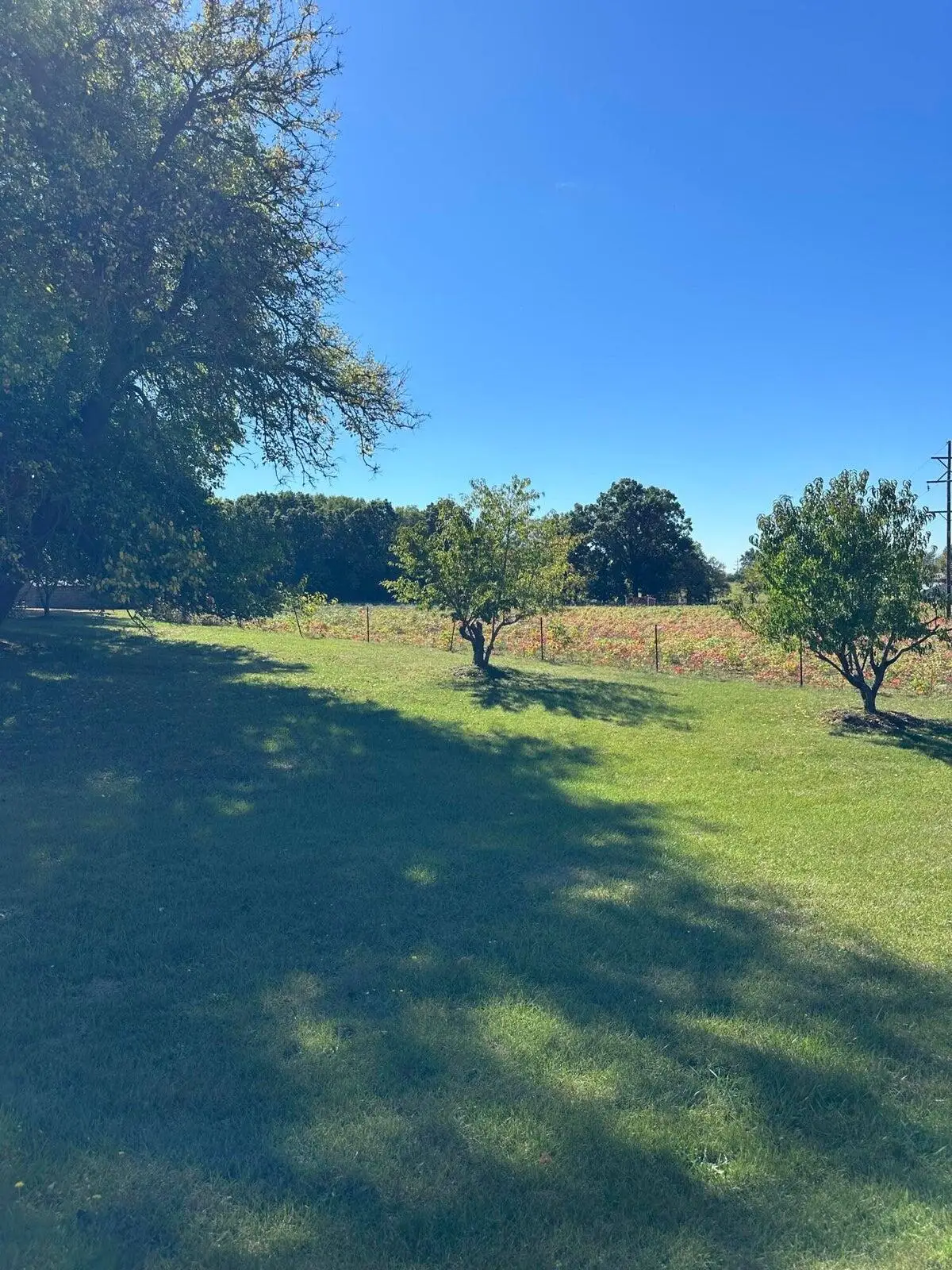 VL Pierce Road #Parcel 5, Plainwell, MI 49080 - Image #1