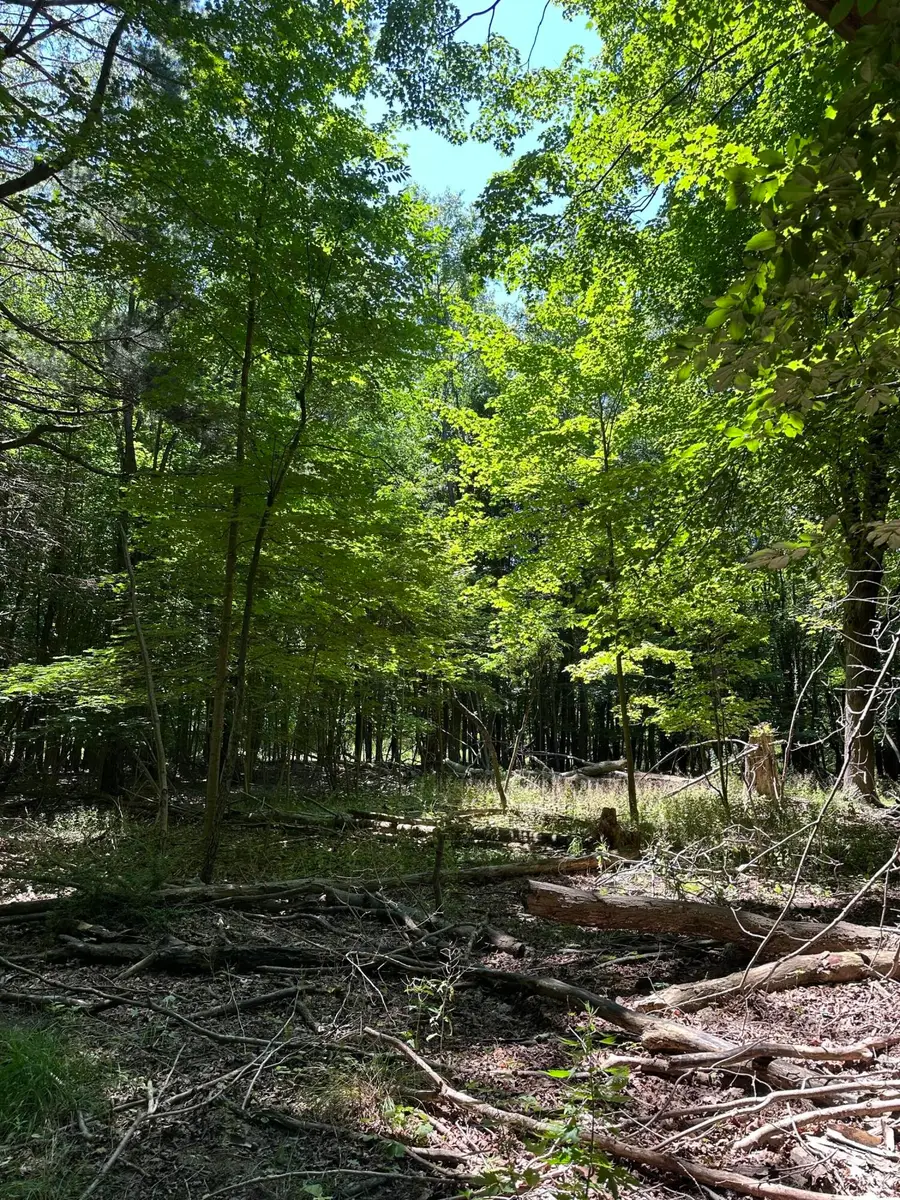 Lot 1 Christopher Lane, South Haven, MI 49090 - Image #3