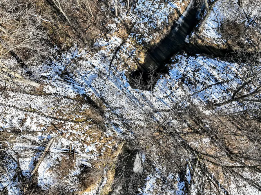 1767 Flanders Road, Charlotte, MI 48813 - #3