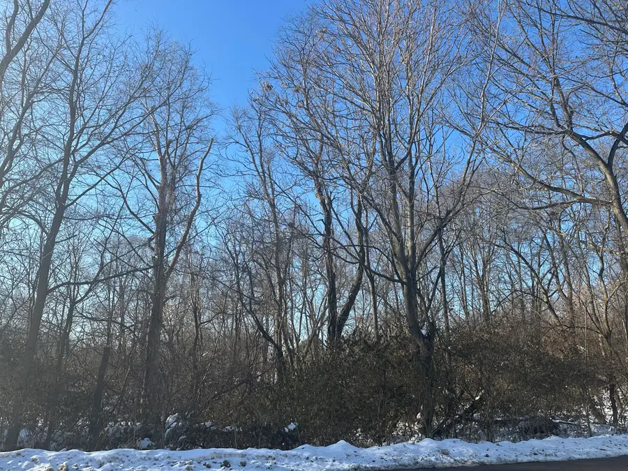 369 Kincaid Street, Kalamazoo, MI 49048 - Image #2