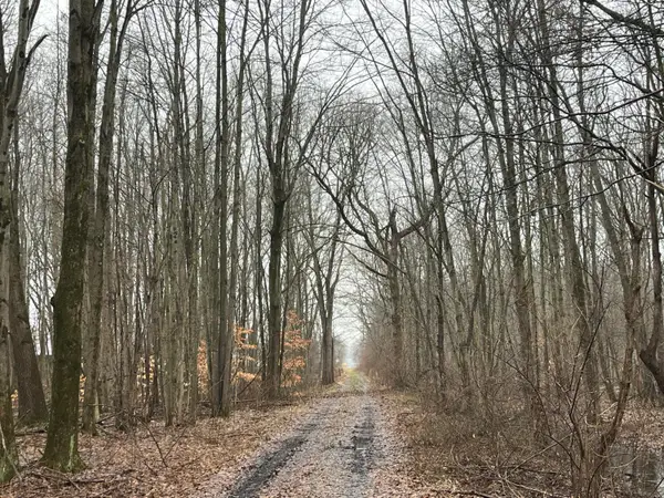 36th Avenue, Paw Paw, MI 49079