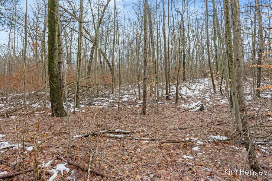 V/L W Wood Lake Road, Pierson, MI 49339 - Image #2