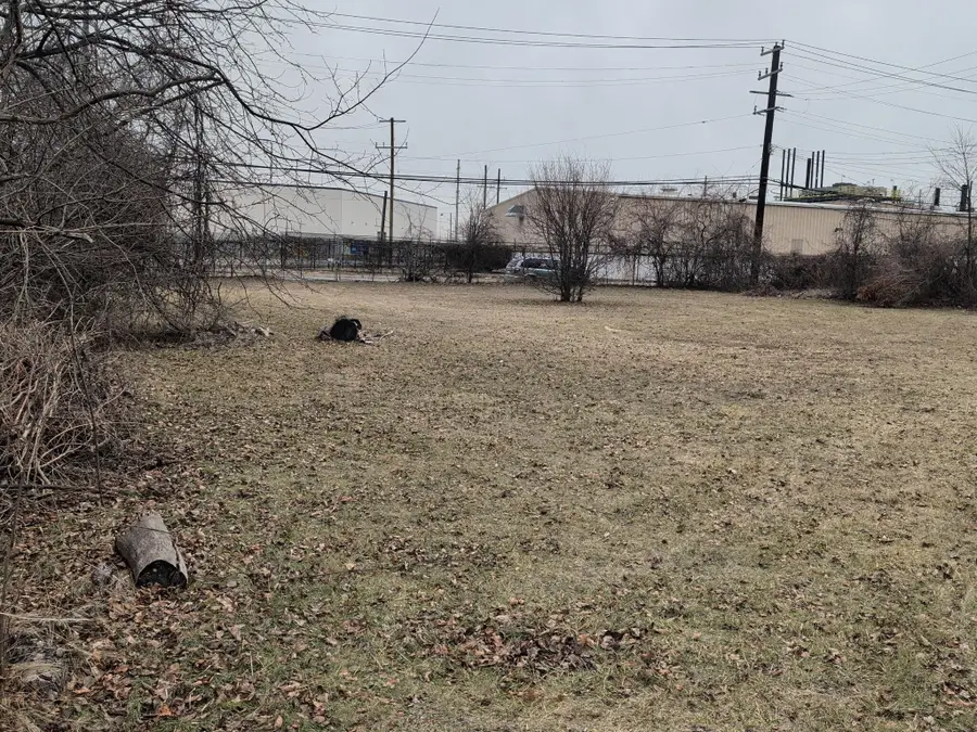 20296 Rowe Street, Detroit, MI 48205 - Image #2