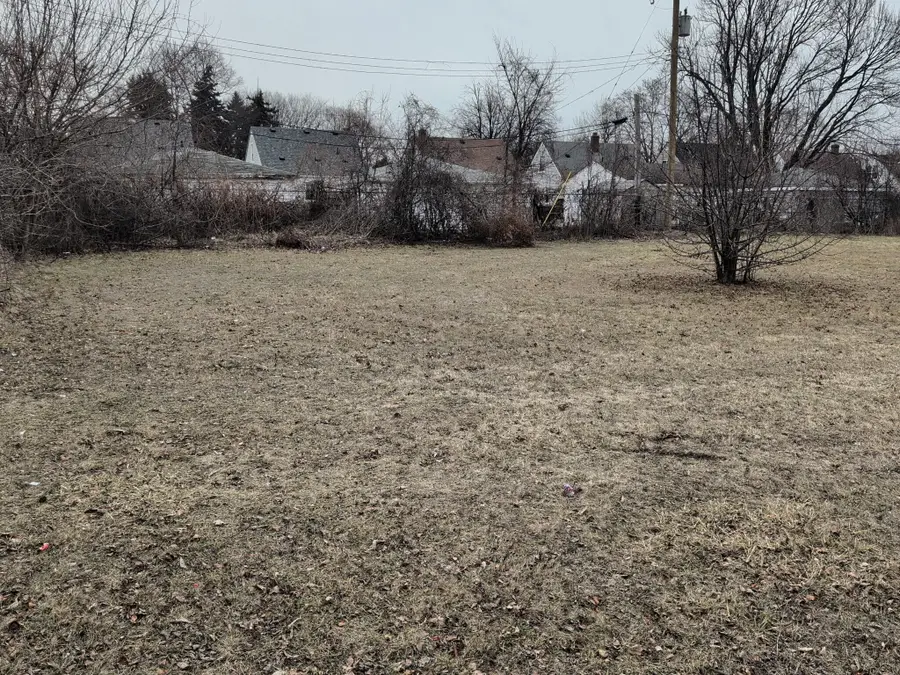 20296 Rowe Street, Detroit, MI 48205 - Image #3