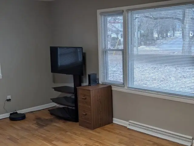 259 Joy Street, Howard City, MI 49329 - Image #3