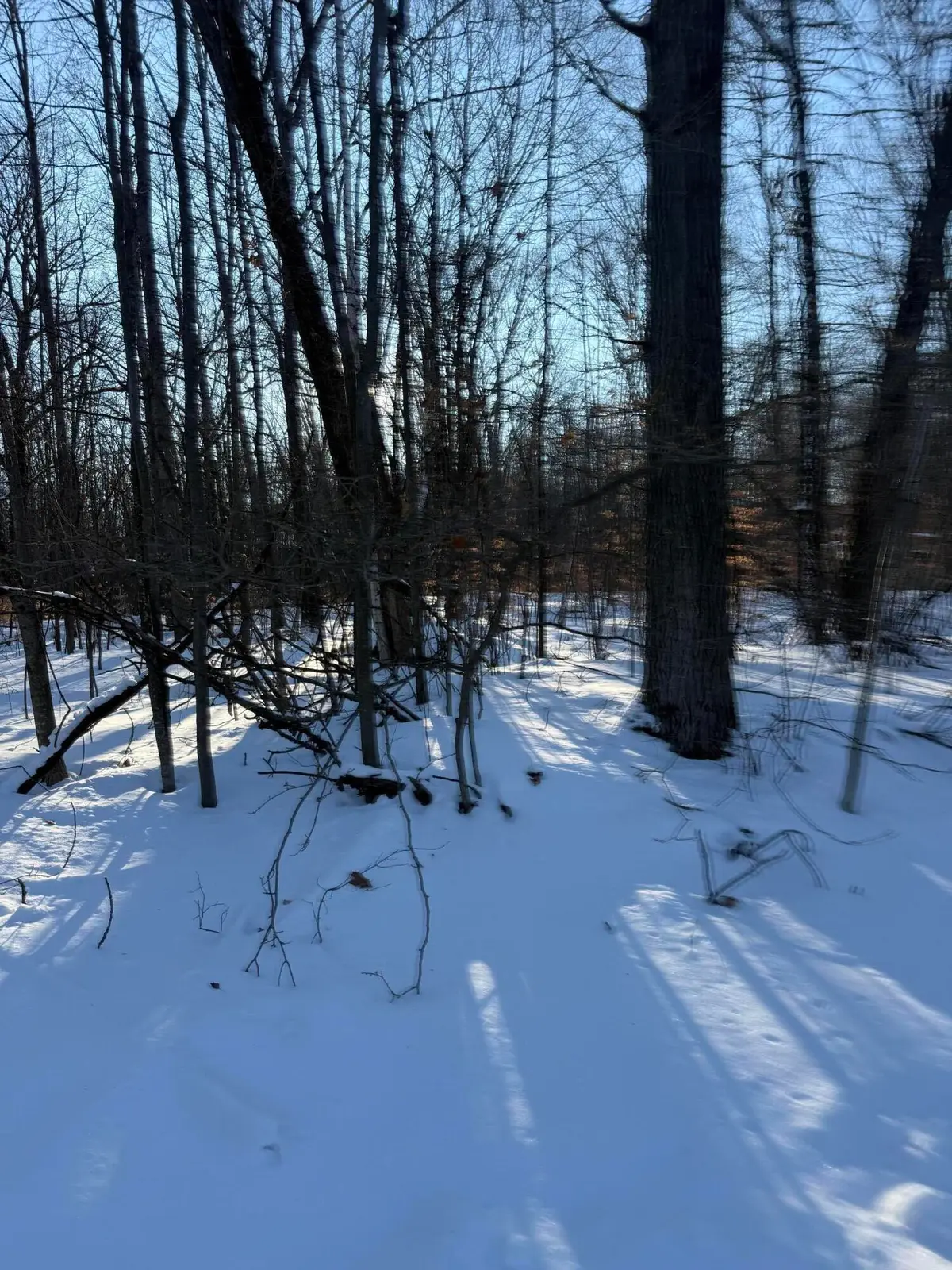 Address Withheld By Seller, Reed City, MI 49677 - Image #1