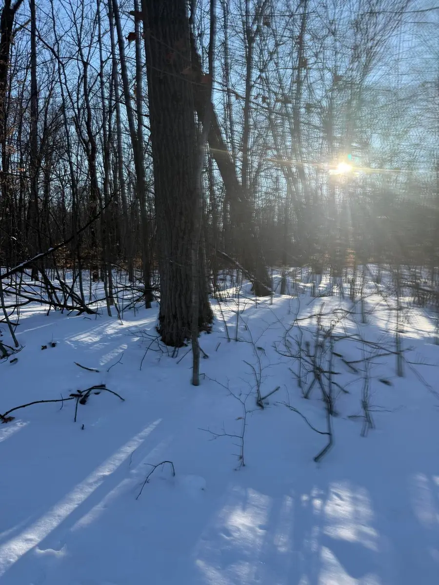 Address Withheld By Seller, Reed City, MI 49677 - Image #2