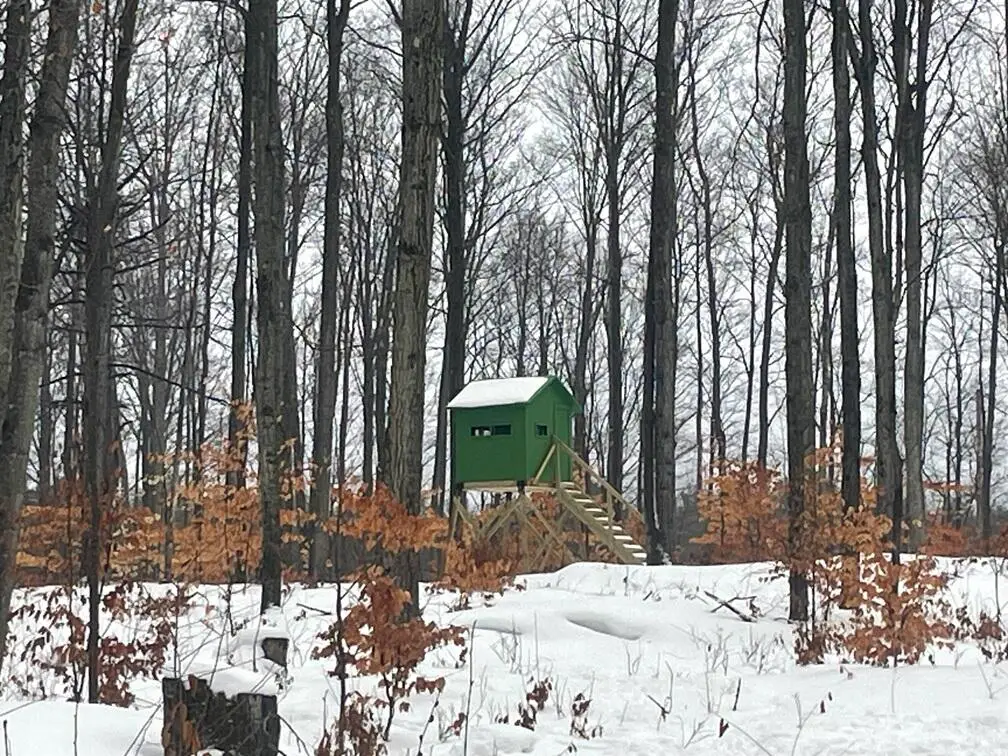 20350 Lindy Road, Copemish, MI 49625 - #1