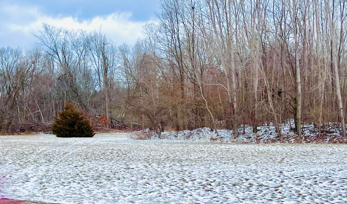 56660 Tanner Trail, Three Rivers, MI 49093 - Image #1