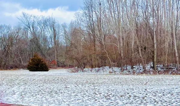 56660 Tanner Trail, Three Rivers, MI 49093