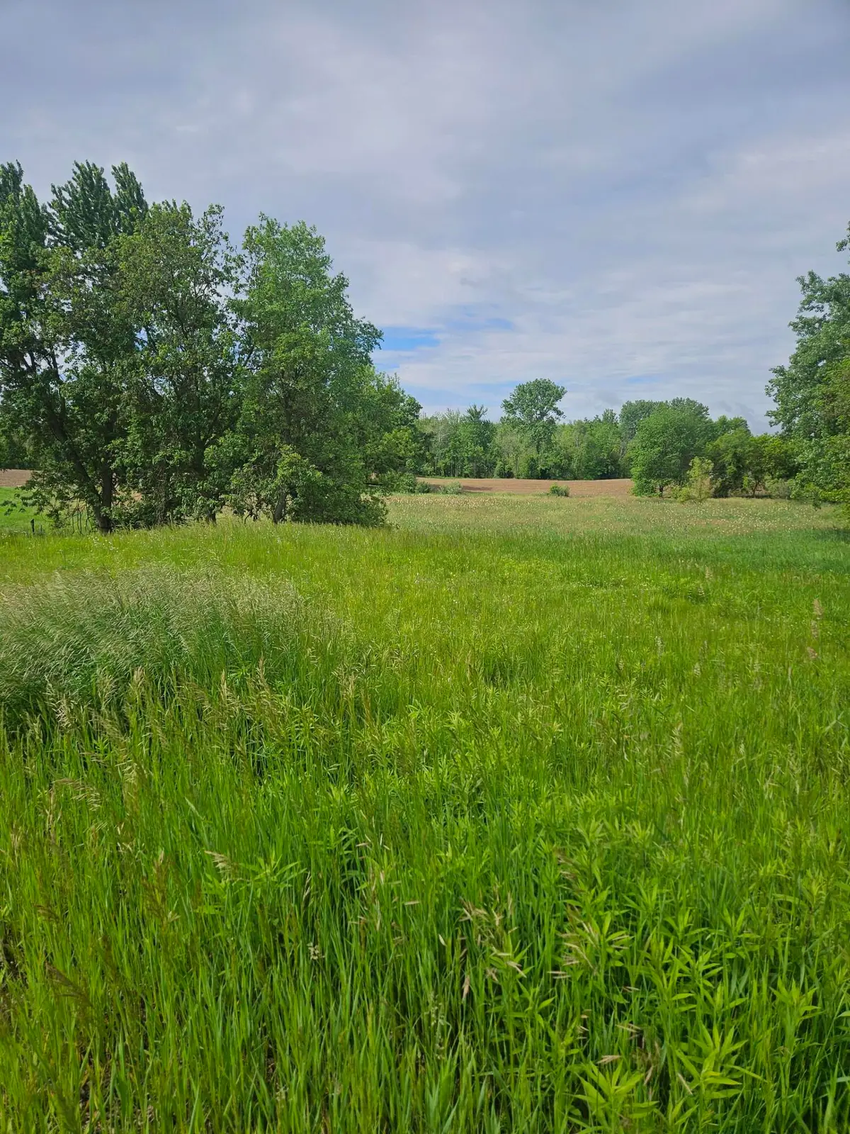 10800 Crooked Lake Drive Ne, Rockford, MI 49341 - #1