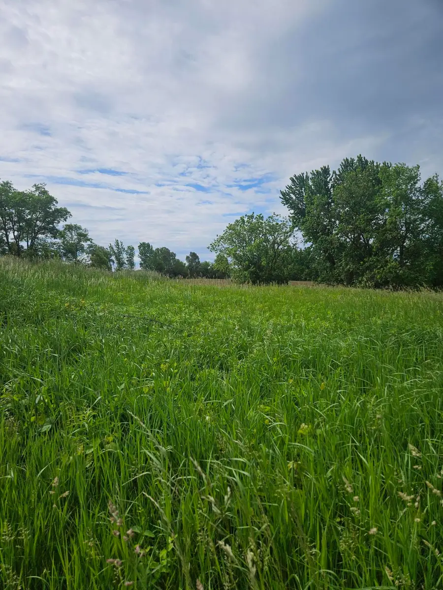 10800 Crooked Lake Drive Ne, Rockford, MI 49341 - #2