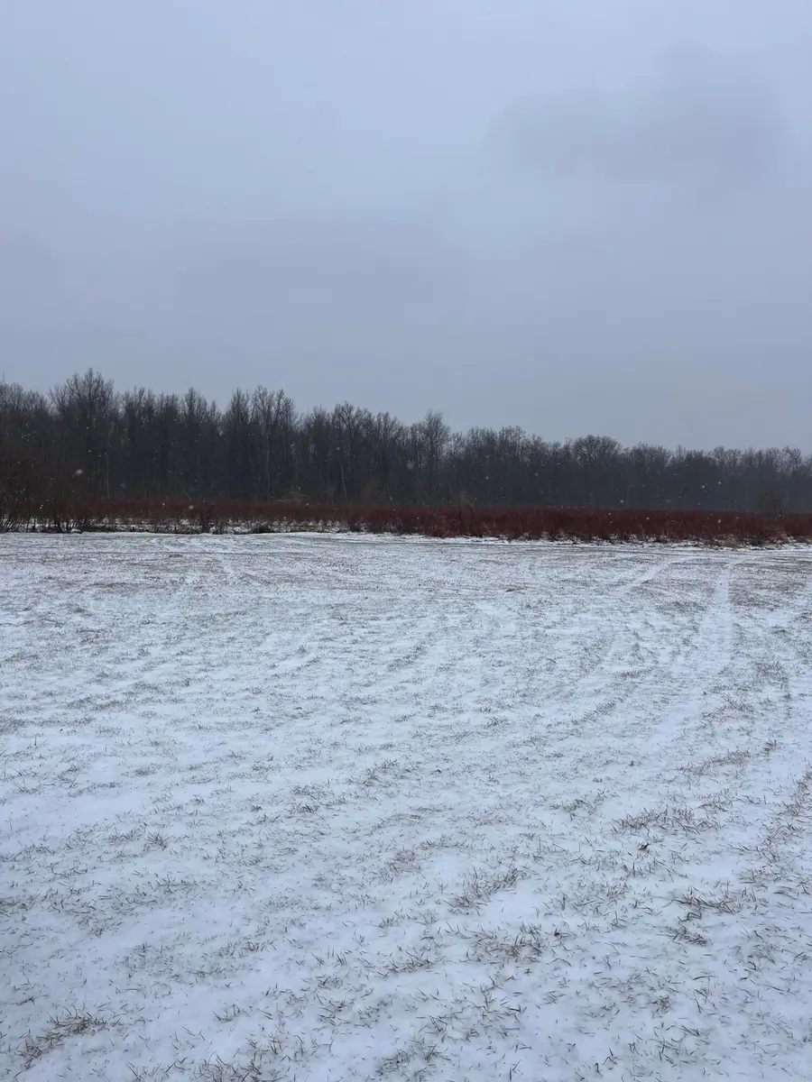 6892 56th Street, Grand Junction, MI 49056 - #3