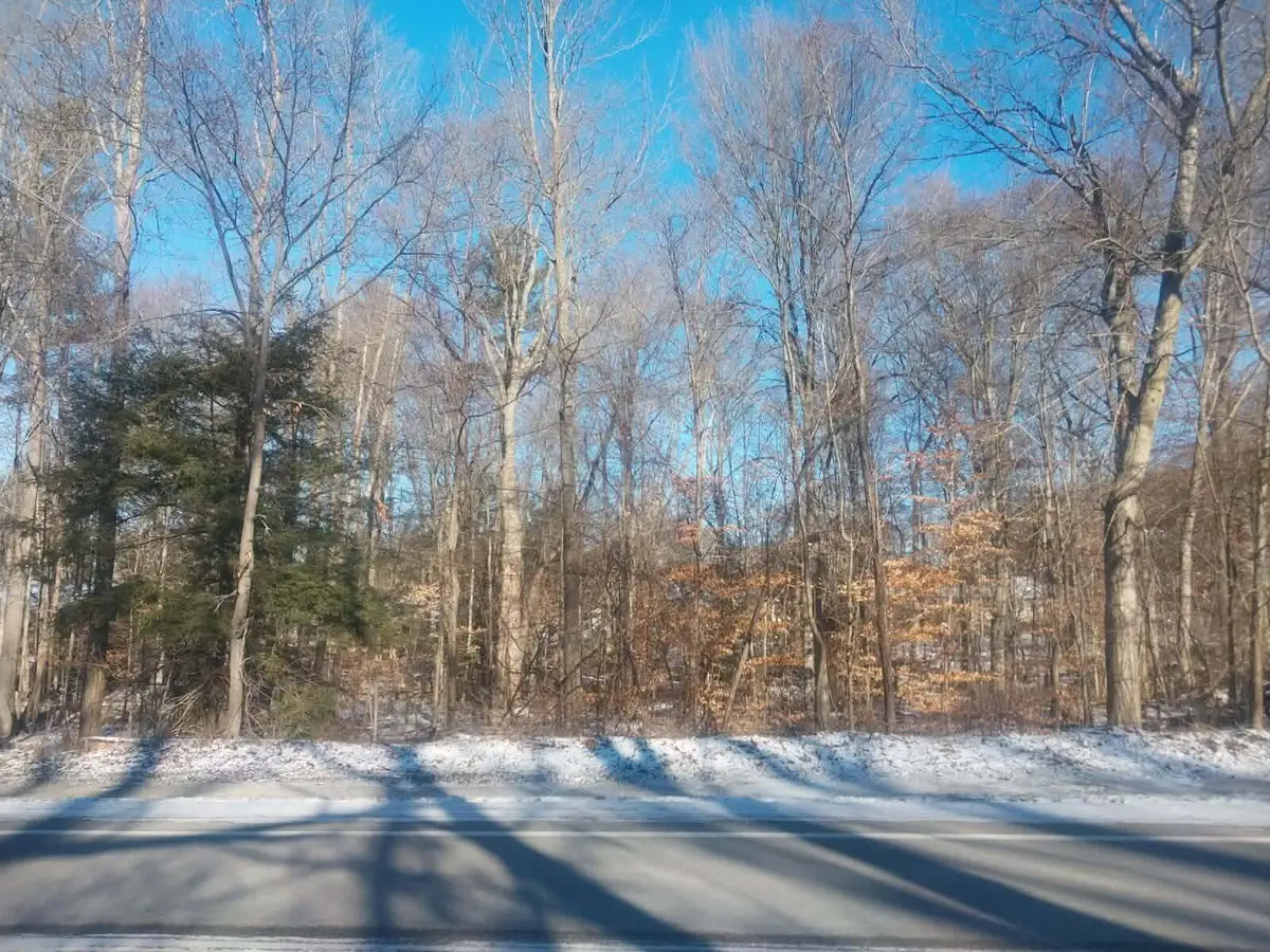 Lot A 142nd Avenue, Dorr, MI 49323 - #1