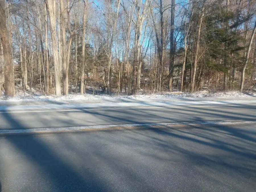 Lot A 142nd Avenue, Dorr, MI 49323 - #3