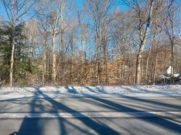 Lot B 142nd Avenue, Dorr, MI 49323