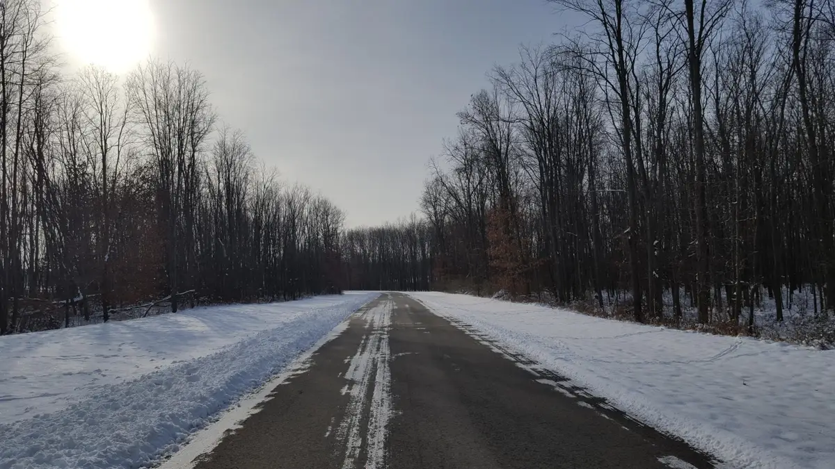 794 Greystone Drive #7, Chelsea, MI 48118 - Image #1