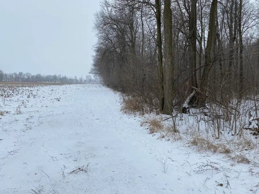 W Copeland Road #2, Bronson, MI 49028 - Image #2