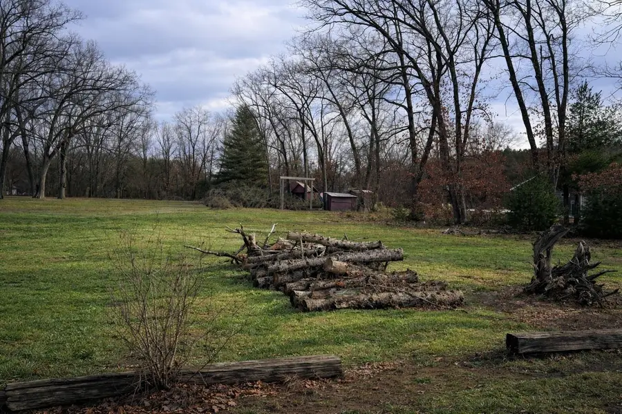 4315 Young Street, Brethren, MI 49619 - #2