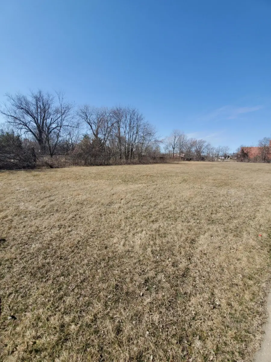 203 S Main Street, Three Rivers, MI 49093 - #2