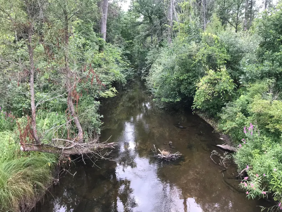 14551 Algoma Avenue Ne, Cedar Springs, MI 49319 - #3