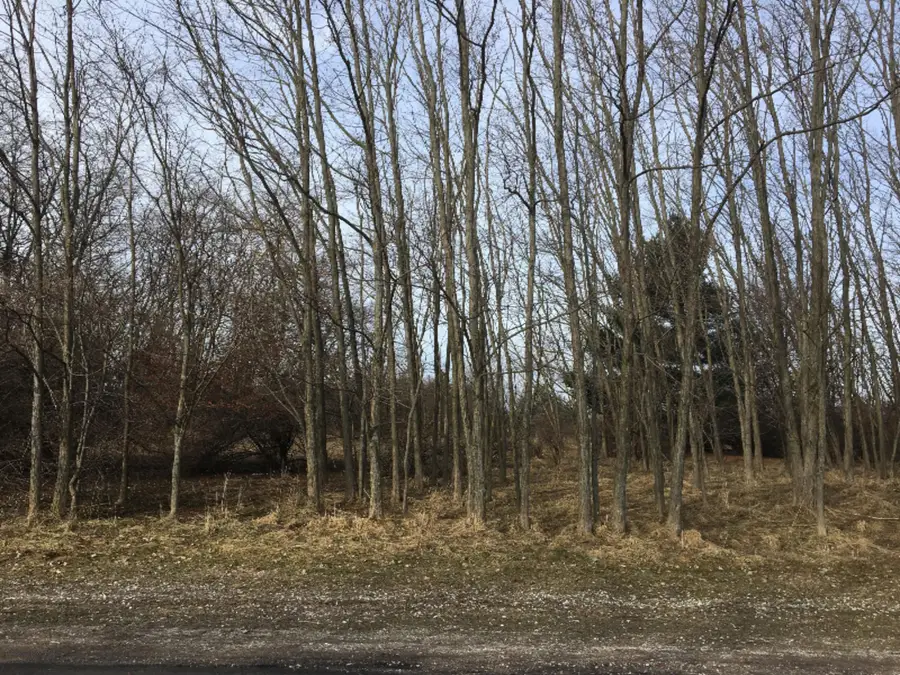 0 12th Street, Manistee, MI 49660 - Image #3