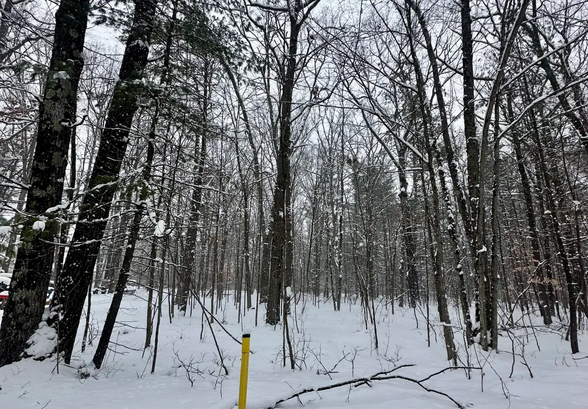 19269 Saux Lane, Big Rapids, MI 49307 - Image #1