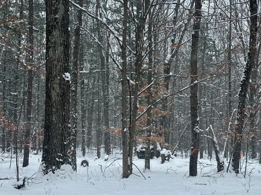 19269 Saux Lane, Big Rapids, MI 49307 - Image #3