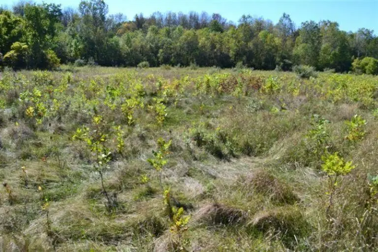 5312 18 Mile Road Ne, Cedar Springs, MI 49319 - Image #2