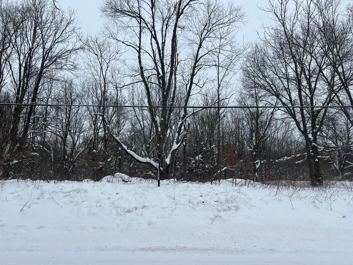 W Pq - Vacant Land Parcel D Avenue, Kalamazoo, MI 49009 - Image #1