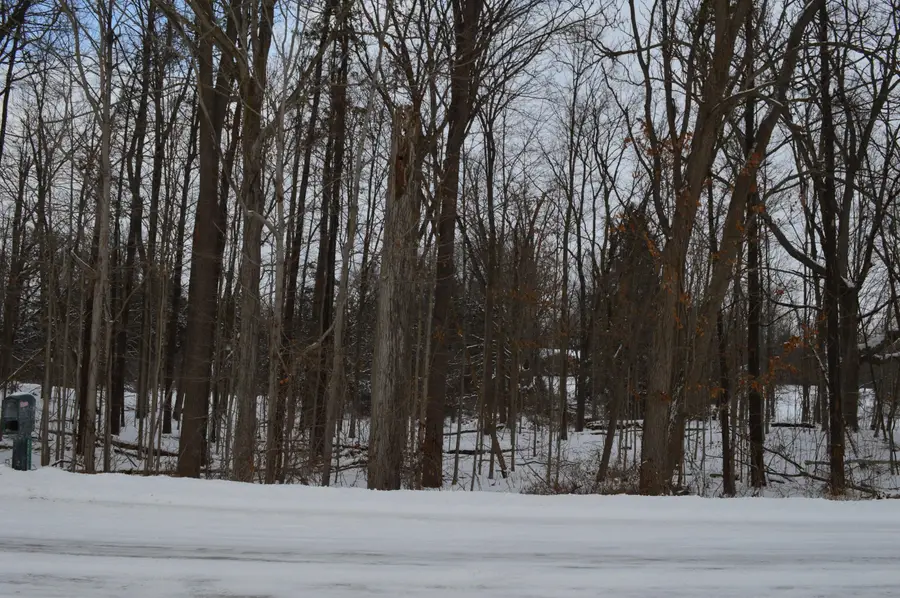 0 Willow Rd, Saline, MI 48176 - Image #2