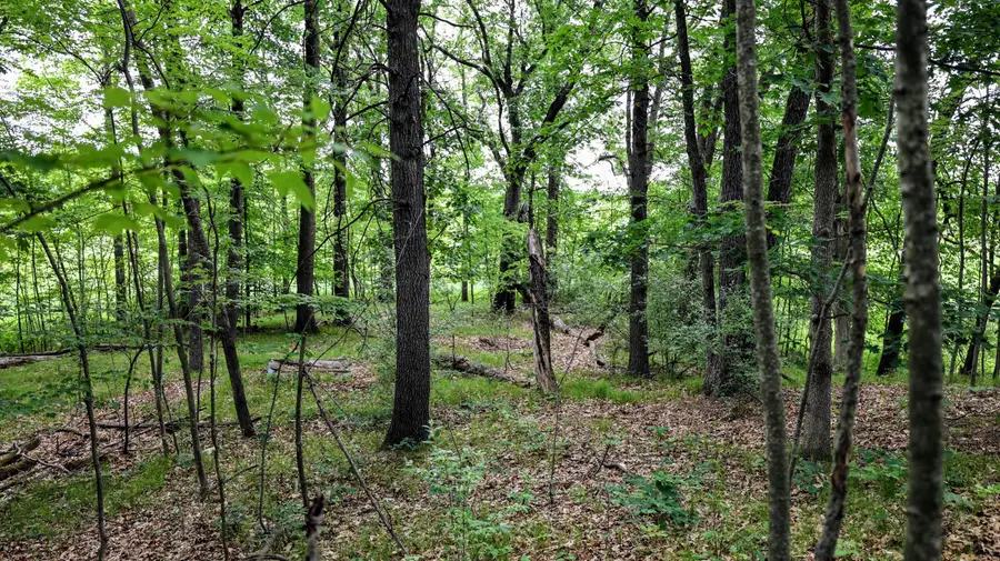 VL Mud Lake Rd, Bellevue, MI 49021 - Image #3