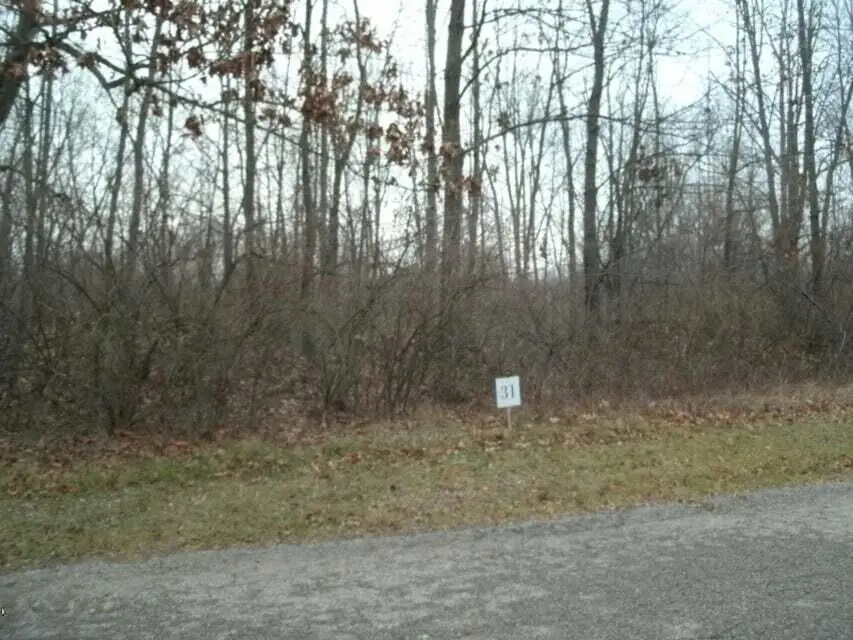 0 Drew Drive #Lot 22, Niles, MI 49120 - #1