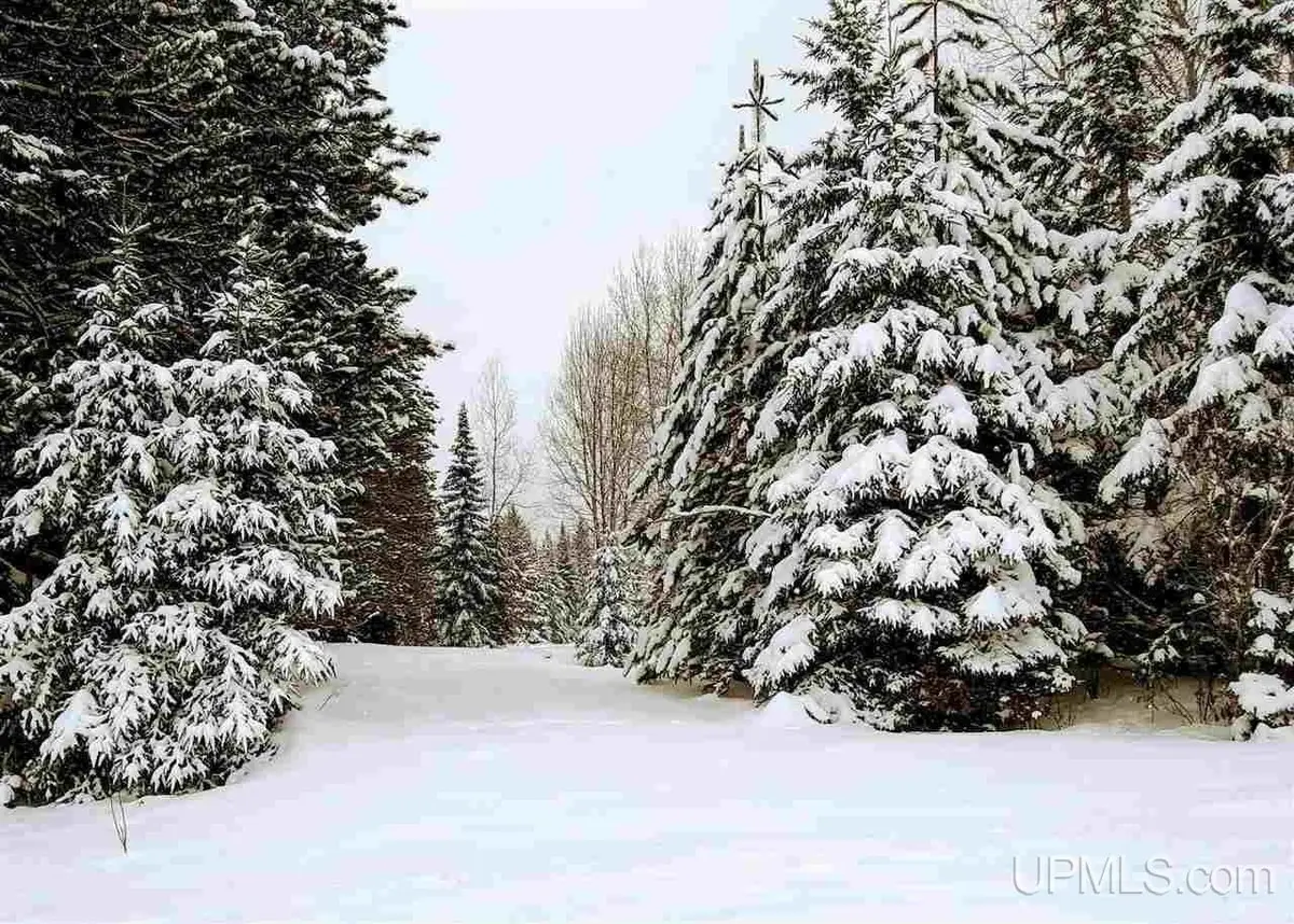 15169 Bellaire Street, Baraga, MI 49908 - #1