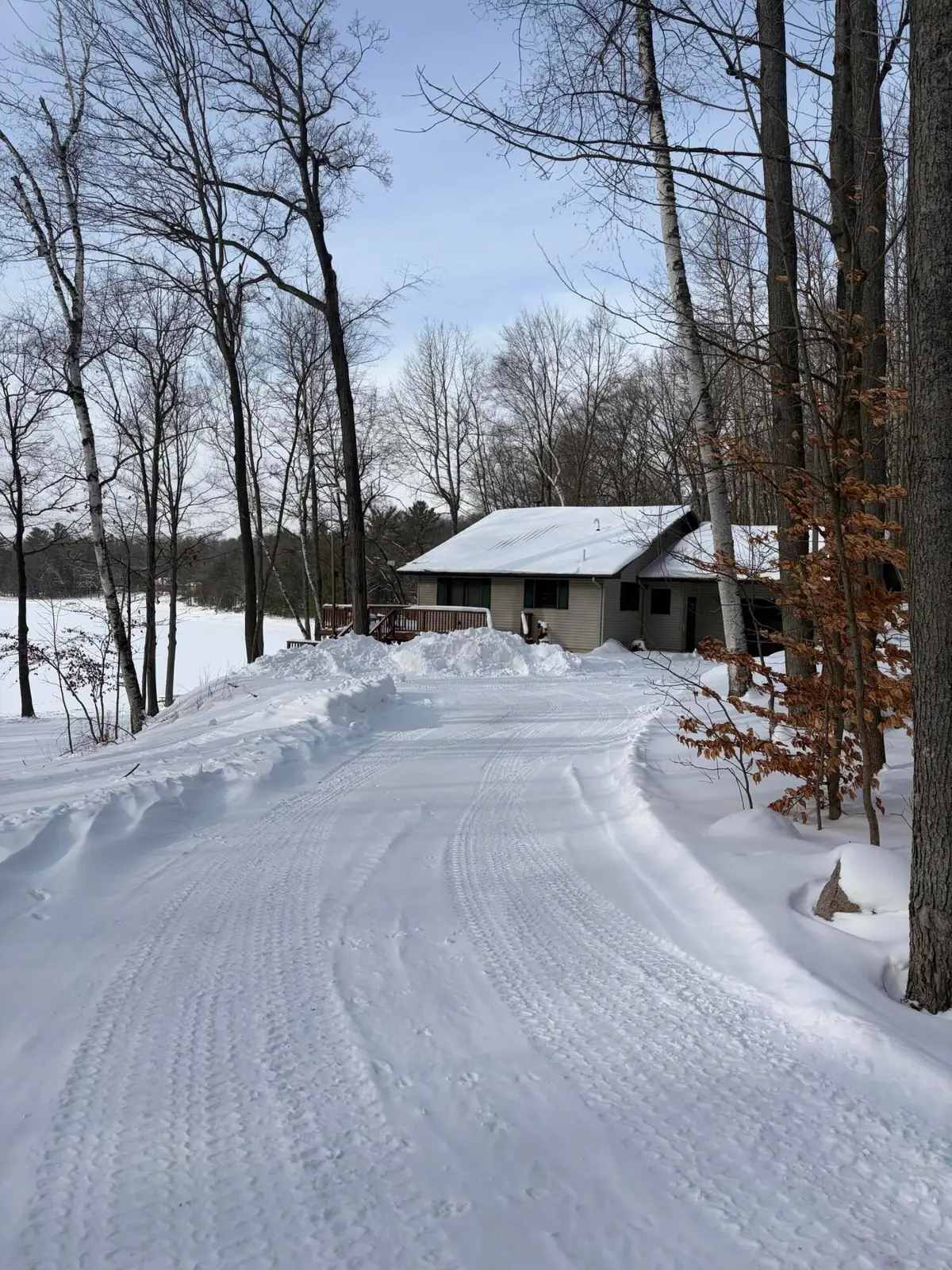 10140 Alpine Drive, Reed City, MI 49677 - #1