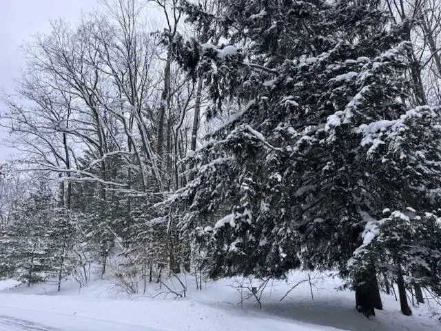 Frank Smith Rd, Chase, MI 49623 - #1