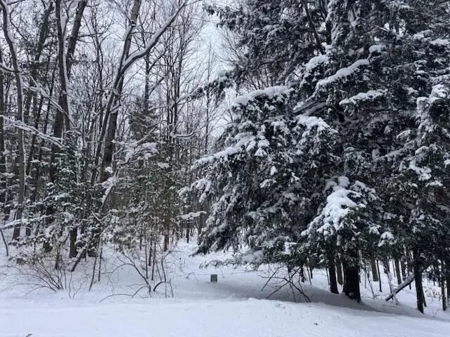 Frank Smith Rd, Chase, MI 49623 - #2