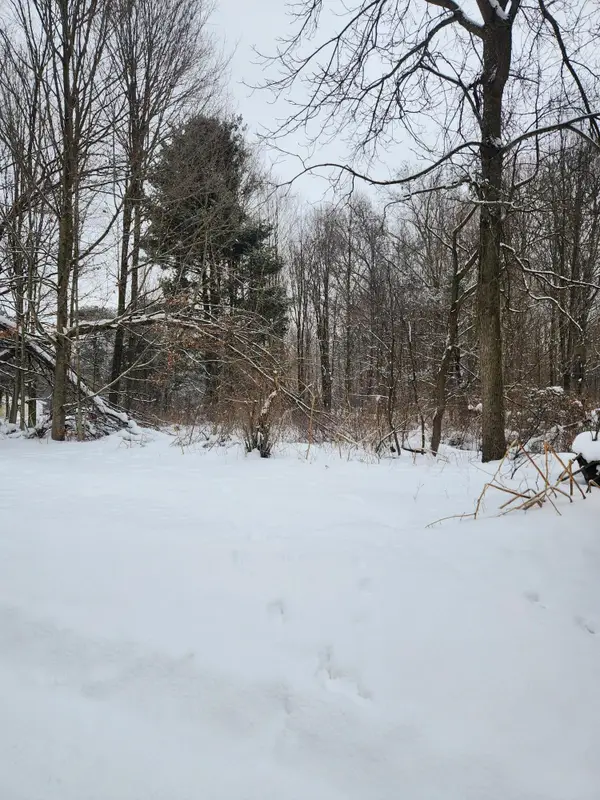 8694 W South County Line Road, Greenville, MI 48838