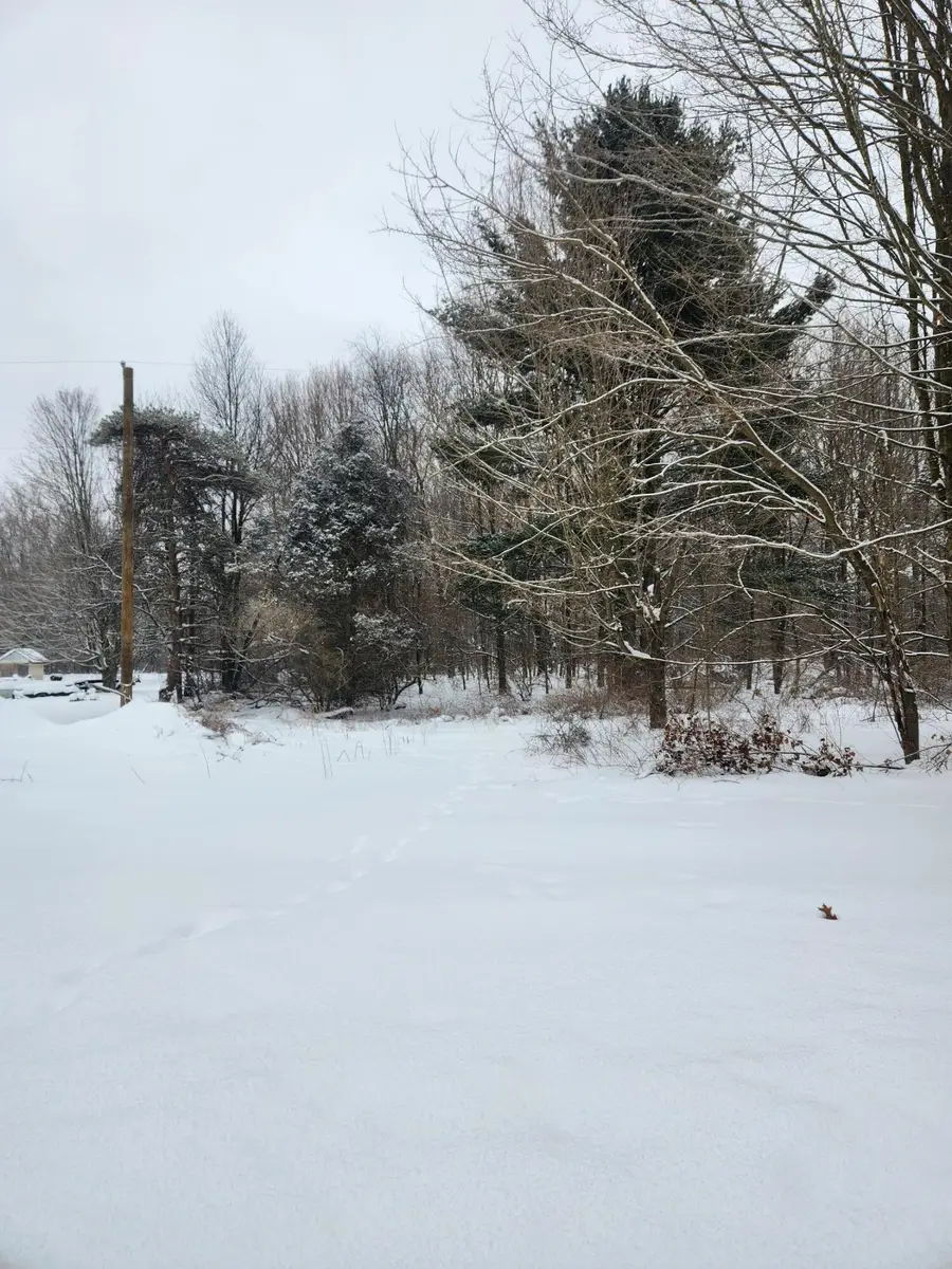 8694 W South County Line Road, Greenville, MI 48838 - Image #2