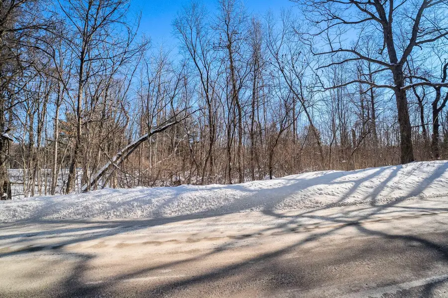 VL Lake George Road, Leonard, MI 48367 - #3