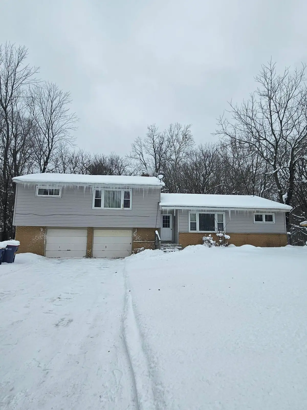 3265 Brooklyn Avenue Se, Grand Rapids, MI 49508 - #1