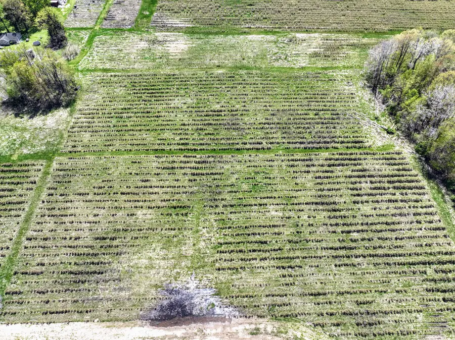 VL Benny Ct (private) #Parcel 4, Grand Junction, MI 49056 - Image #3