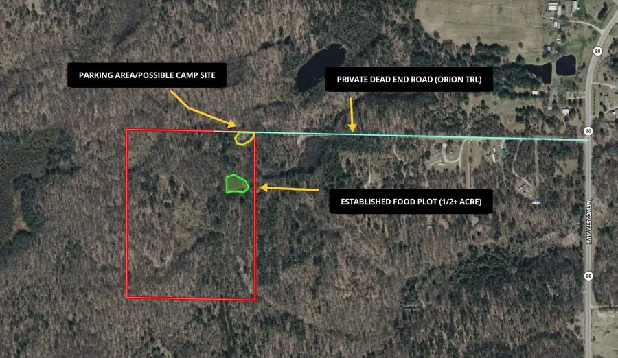 9194 Orion Trail, White Cloud, MI 49349 - #2