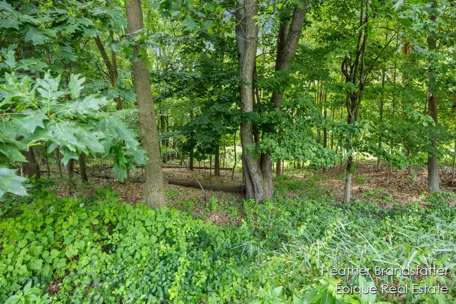 7670 Wood Violet Court Se, Ada, MI 49301 - #3