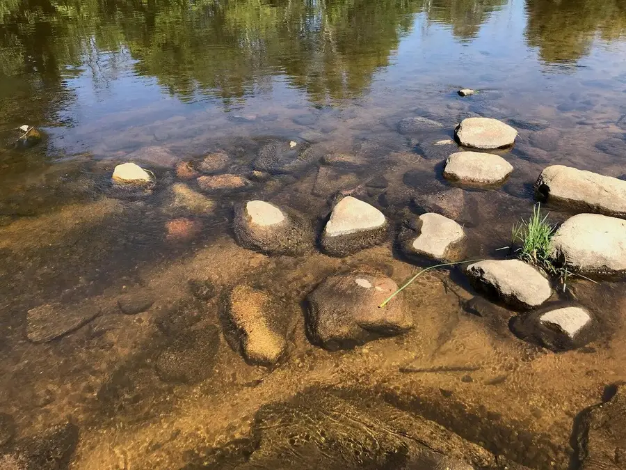 Lots 10&11 S Riverview Drive, Hesperia, MI 49421 - #3