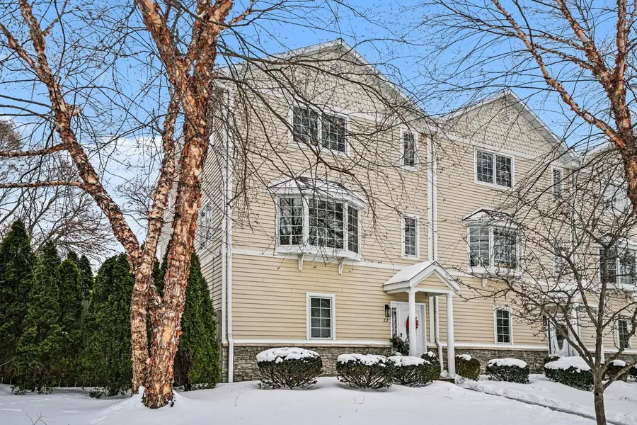 217 W Merchant Street, New Buffalo, MI 49117 - #2